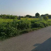 ۲۸۵ متر زمین مسکونی بر اصلی شهر کوچصفهان