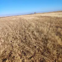 زمین کشاورزی بسیار مرغووب|فروش زمین و ملک کلنگی|پلدشت, |دیوار