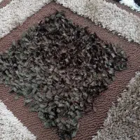 یک عدد کلیم فرش نو|فرش|قم, الوندیه و گذر صادق|دیوار