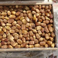 خرما زاهدی سوپر لوکس