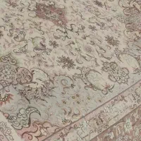 فرش جفت ۱۲ متری نقشه شیر فر در حد نو