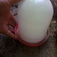 آبخوری یک لیتری جوجه