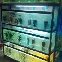 آکواریوم با پایه و پمپ مرکزی ژاپنی