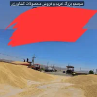 خوراک دام جمشیدی