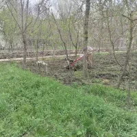 خدمات باغبانی و باغداری