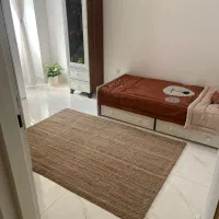 گلیم فرش برند ایکیا