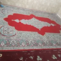 قالی و فرش