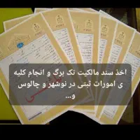 گرفتن سند تک‌برگ توسط کارشناس خبره