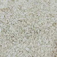 برنج لاشه صدری