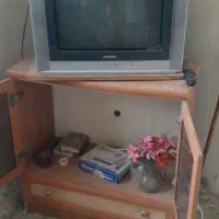 تلویزیون