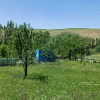 باغ بستان آباد|فروش زمین و ملک کلنگی|تیکمه داش, |دیوار