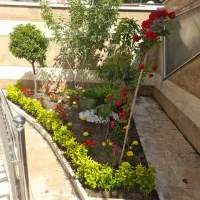 باغبانی و هرس کاری وکاشت ، سمپاشی در سراسر تهران|خدمات باغبانی و درختکاری|تهران, سید خندان (جلفا)|دیوار