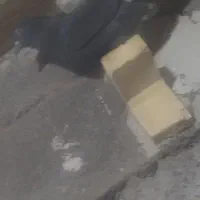 کبوترنر