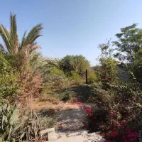 فروش باغ بنه گز/ بر بزرگراه چغادک ـ دیر|فروش خانه و ویلا|اهرم, |دیوار