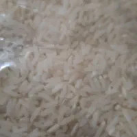 فروش انواع برنج محلی مینودشت
