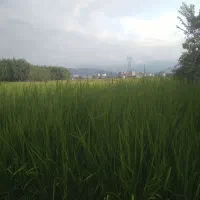 ۱۲۲متر با پروانه دوطبقه ویلا نقلی محیط روستایی