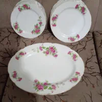 ظروف پذیرایی