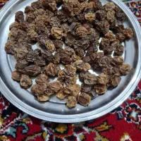 آلوچه خشک