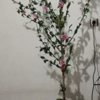 فروش زمین ۳۰۰ متری