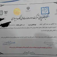 همراه بیمار