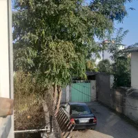 فروش چوب ...نیازمند خریدار با دستگاه برای قطع درخت|مصالح و تجهیزات ساختمان|قائم‌شهر, |دیوار