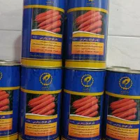 بذور هویج پرستو و بیجو بذر برگشتی