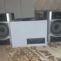 ظبط باند