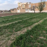 زمین کشاورزی کنار چشمه رسول الله اقلید