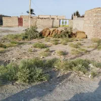 زمین-250-متری-در-قاسم-آباد
