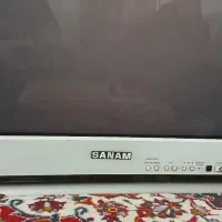 تلوزیون ۲۹ اینچ صفحه تخت صنام کم کارکرد(شازند)|تلویزیون و پروژکتور|شازند, |دیوار