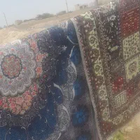 قالیچه ۳ متری و ۶ متری|فرش|کاشان, امیرکبیر|دیوار