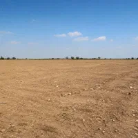 فروش-زمین
