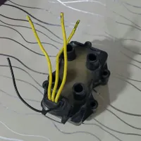 کویل فرانسوی.ساژم