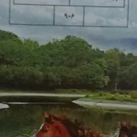 انجام تحقیق و خلاصه نویسی