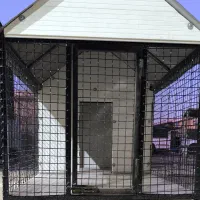 گنجه کفتر کلبه سگ قفس پرندگان