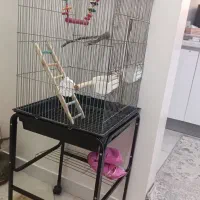 قفس پایه دار پرنده