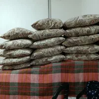 12عدد بالش پشمیشه