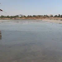 ماله پروانه ای|خدمات پیشه و مهارت|بندرعباس, |دیوار