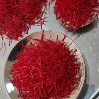 زعفران سوپر نگین خراسان|خوردنی و آشامیدنی|رشت, رودباری|دیوار