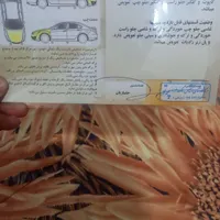 تیبا صندوقدار ۹۷|خودرو سواری و وانت|اهواز, پردیس|دیوار