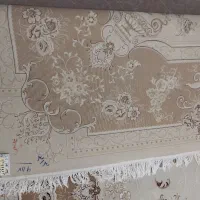 فرش درحد نو|فرش|قائن, |دیوار