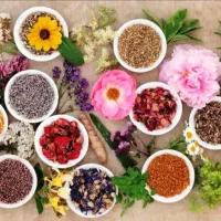 فرصت بی نظیر برای آموزش طب سنتی ودرمان های طبیعی