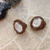 سنگ شجر راف|جواهرات|بوشهر, |دیوار