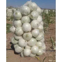 فروش عمده پیاز