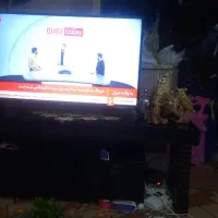 تلویزیون ال ای دی