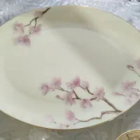 ظروف آرکوپال آرکوپیرکس اسپانیایی