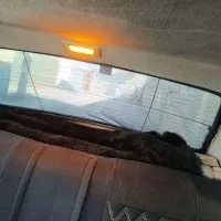 پیکان سواری