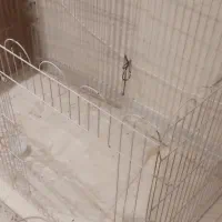 قفس خرگوش و حیوان خانگی|لوازم جانبی حیوانات|اهواز, کیانپارس |دیوار