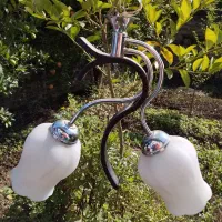 2 جفت لوستر 2 شاخه