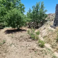 فروش زمین نیر|فروش زمین و ملک کلنگی|نیر (یزد), |دیوار